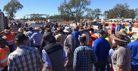 HASSALLS MEGA CONSTRUCTON AUCTION HITS DALBY